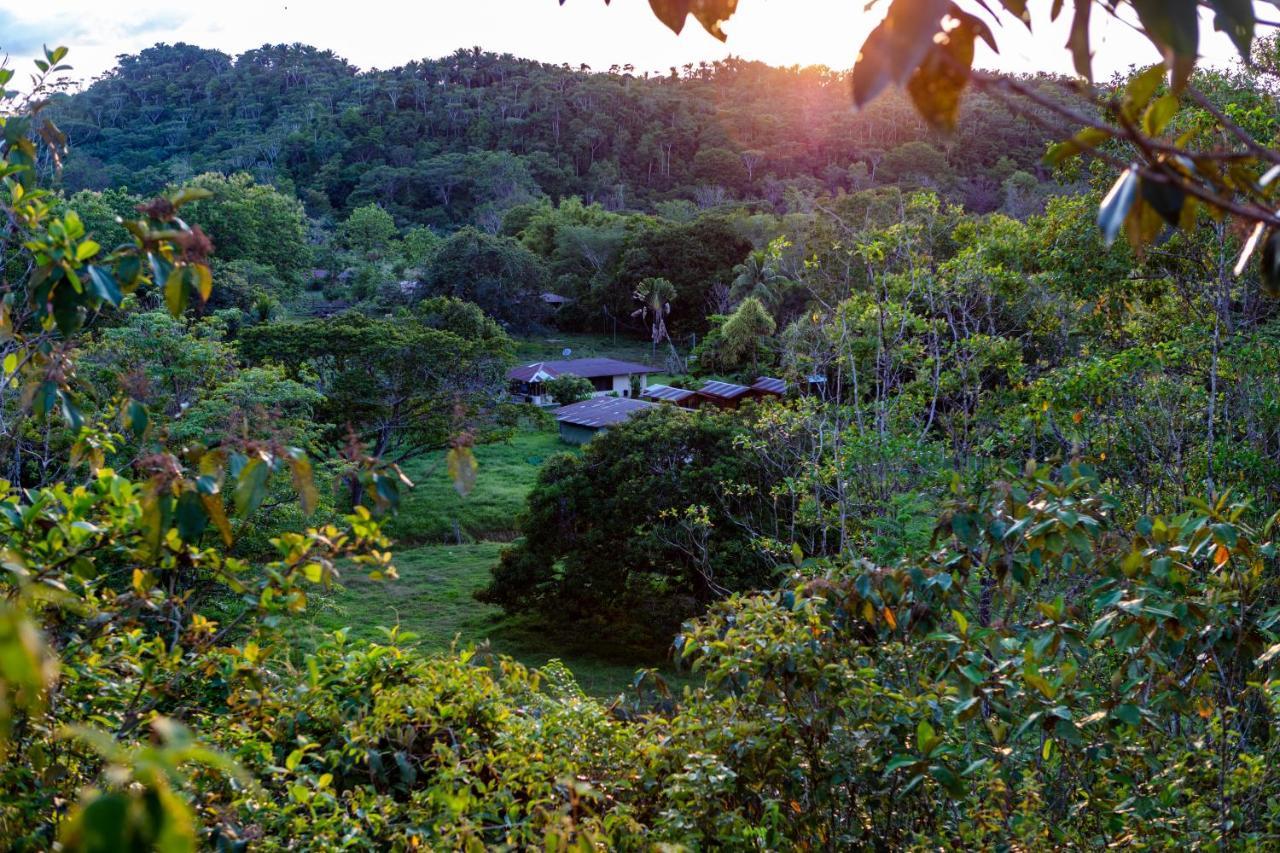 Hotel Oso De Osa Sierpe Exteriér fotografie