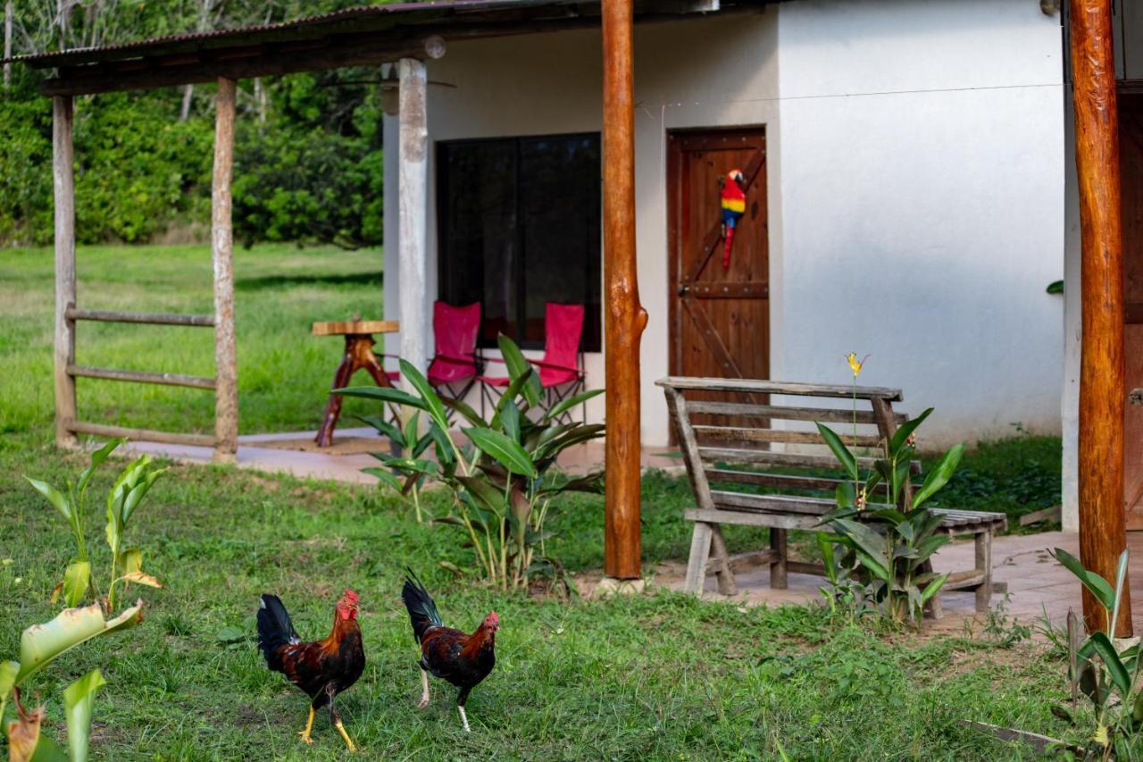 Hotel Oso De Osa Sierpe Exteriér fotografie
